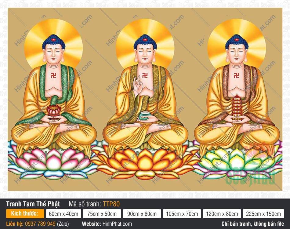 Tam Thế Chư Phật TTP80 Tam Thế Chư Phật TTP80 họa ba Đức Như Lai phối choàng y gấm nền vàng đồng