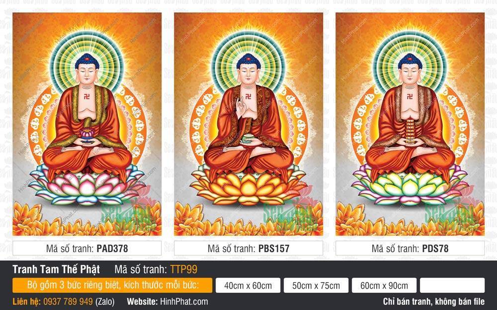 Tam Thế Chư Phật TTP99 Bộ Tranh Tam Thế Chư Phật TTP99 gồm ba bức họa Đức Phật mặc áo nâu sòng