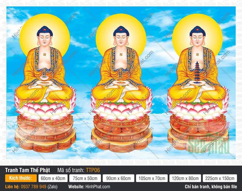Tam Thế Nhất Thiết Chư Phật TTP06 Tranh Tam Thế Nhất Thiết Chư Phật TTP06 khoác y vàng tọa sen hồng