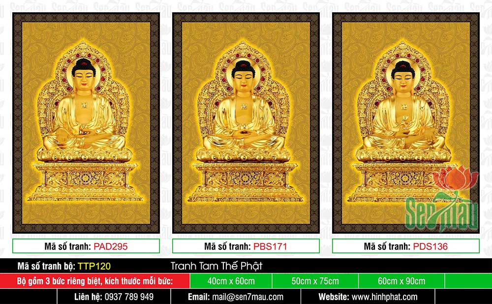 Tam Thế Nhất Thiết Chư Phật TTP120