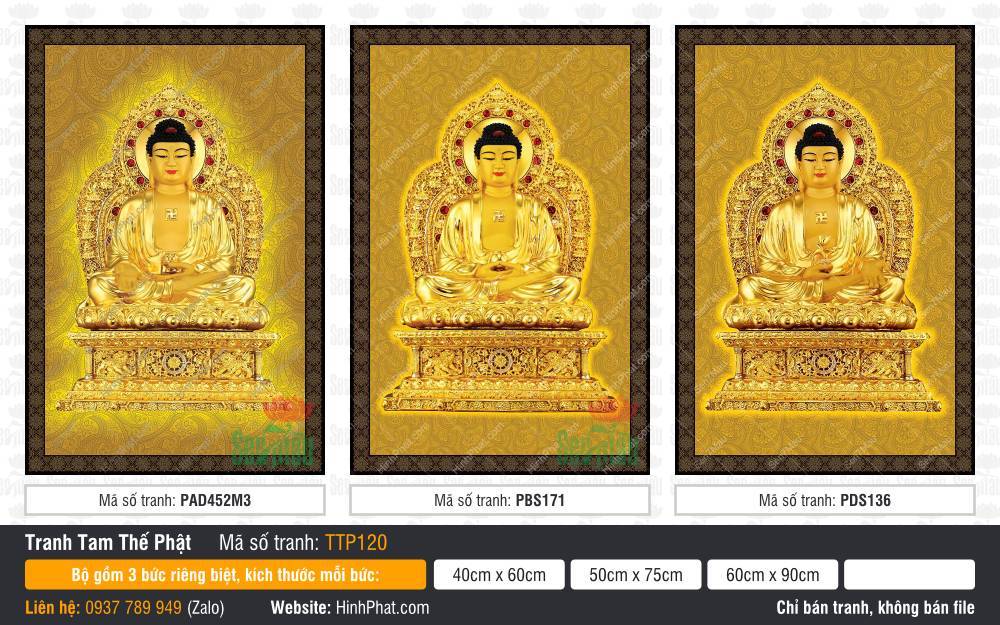 Tam Thế Nhất Thiết Chư Phật TTP120 Tam Thế Nhất Thiết Chư Phật TTP120 rực rỡ sắc vàng kim phối khung viền sẫm màu