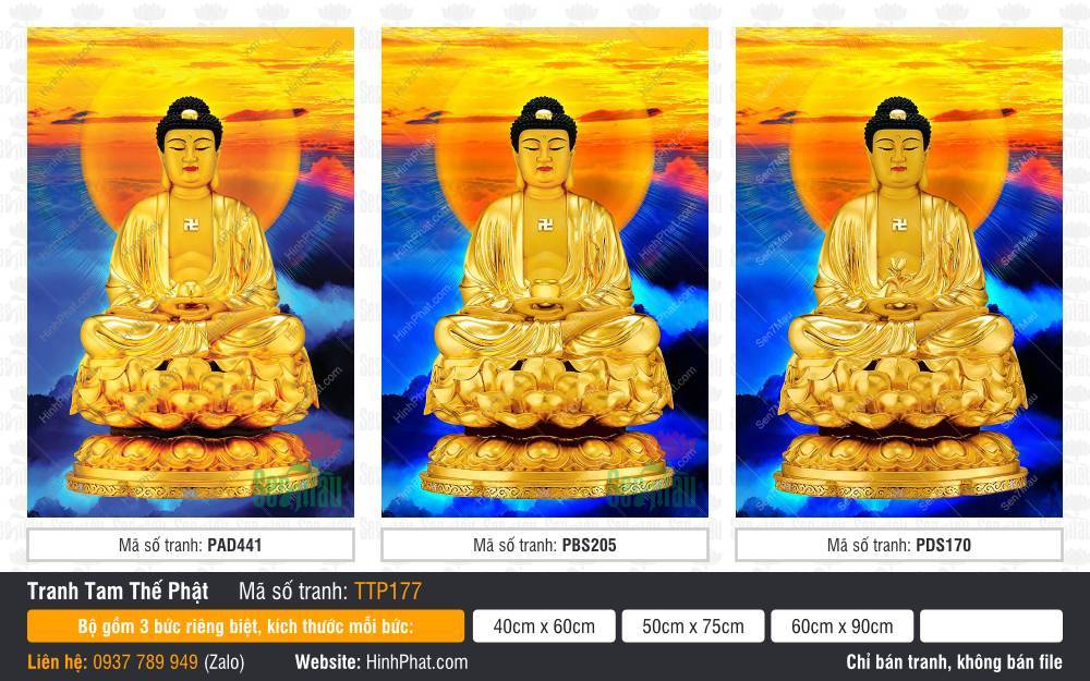 Tam Thế Nhất Thiết Chư Phật TTP177 Tam Thế Nhất Thiết Chư Phật TTP177 sắc hoàng kim rực rỡ giữa nền trời mây hoàng hôn