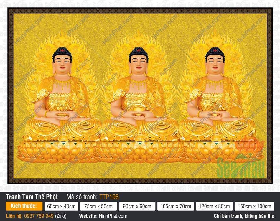 Tam Thế Nhất Thiết Chư Phật TTP196 Tam Thế Nhất Thiết Chư Phật TTP196 tỏa hào quang hình vân lửa sắc vàng