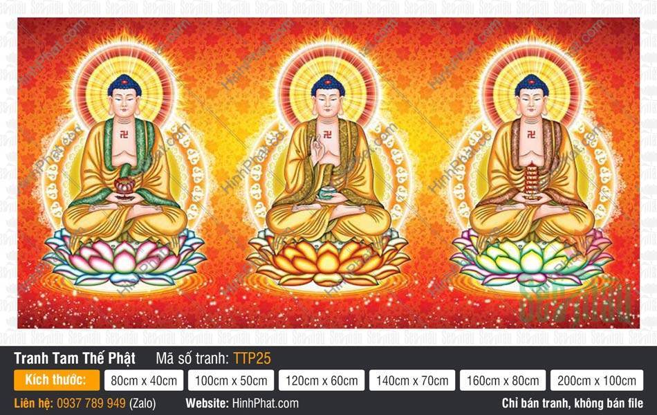 Tam Thế Nhất Thiết Chư Phật TTP25 Tam Thế Nhất Thiết Chư Phật TTP25 họa ba Đức Phật ngự tòa sen