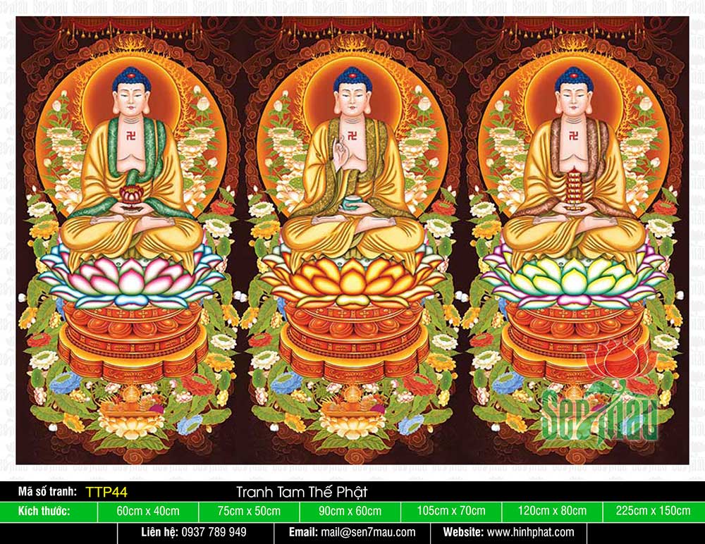 Tam Thế Nhất Thiết Chư Phật TTP44