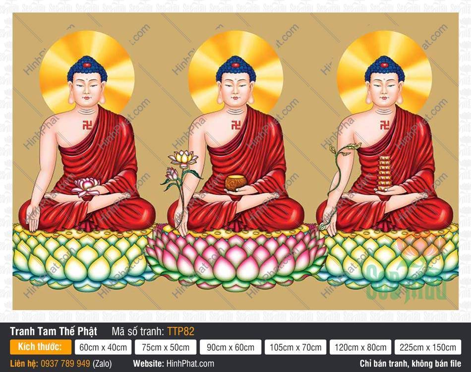 Tam Thế Nhất Thiết Chư Phật TTP82 Bức tranh Tam Thế Nhất Thiết Chư Phật TTP82 ba vị mặc áo đỏ hào quang