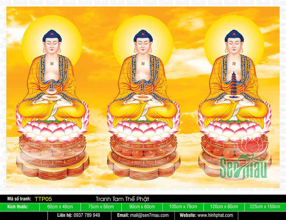 Tam Thế Phật - Size Lớn TTP05