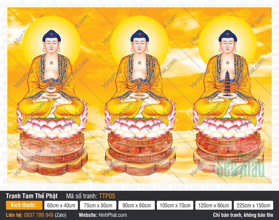 Tam Thế Phật Size Lớn TTP05 Tranh Tam Thế Phật Size Lớn TTP05 khắc họa ba Đức Phật tọa thiền nền vàng