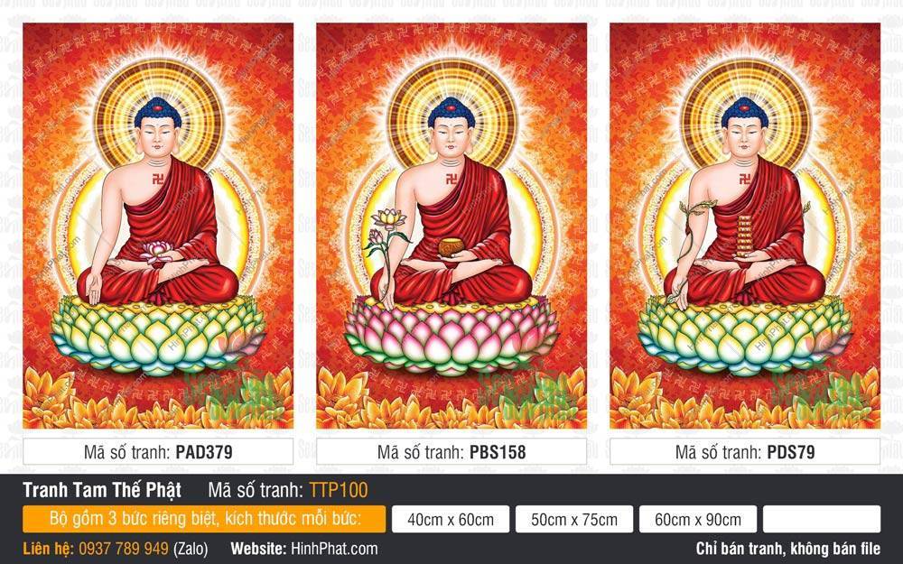 Tam Thế Phật Size Lớn TTP100 Bộ ba tranh Tam Thế Phật Size Lớn đồng khoác áo đỏ ngự đài sen báu