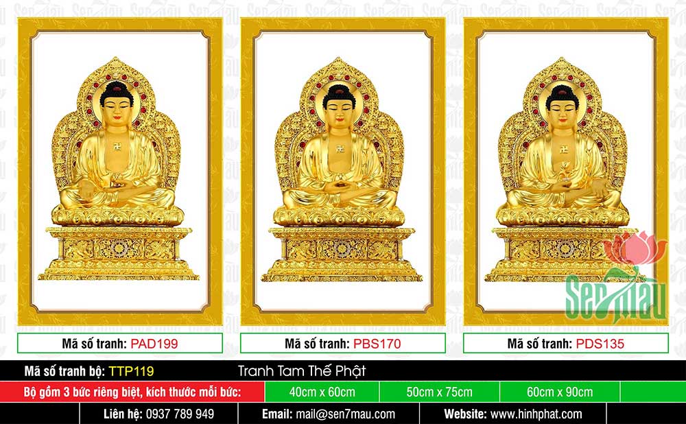 Tam Thế Phật - Size Lớn TTP119