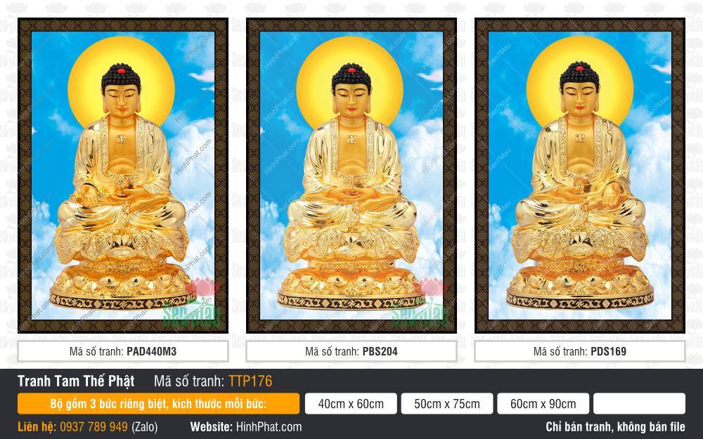 Tam Thế Phật Size Lớn TTP176 Tam Thế Phật Size Lớn TTP176 vẽ ba Đức Phật tỏa hào quang tròn vàng nền trời