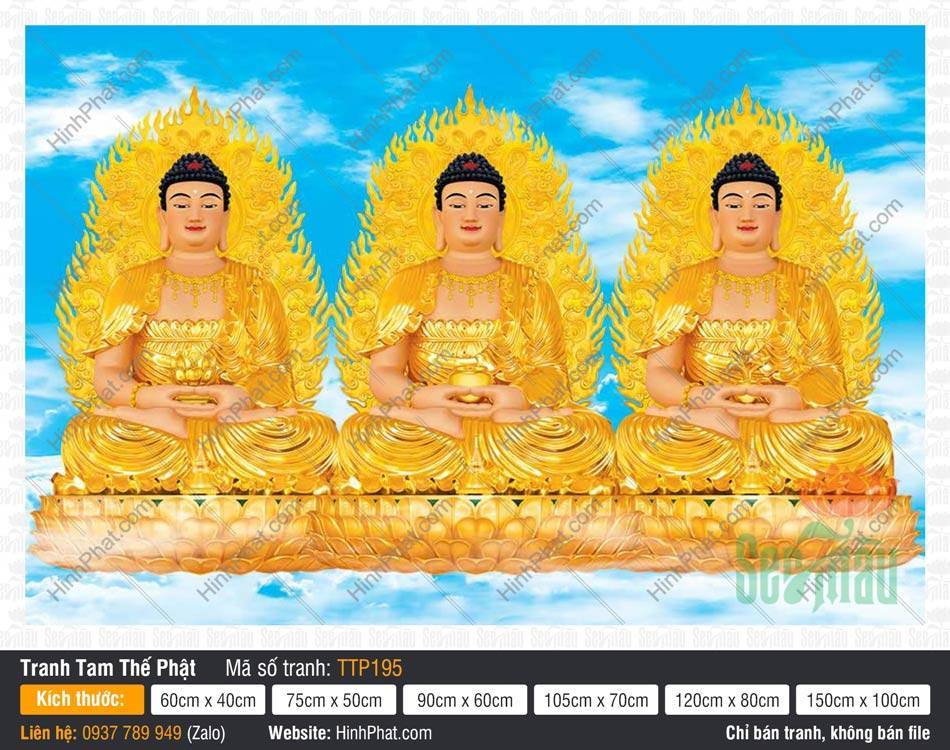 Tam Thế Phật Size Lớn TTP195 Tam Thế Phật Size Lớn TTP195 tỏa sắc vàng hoàng kim giữa phông nền trời xanh mây trắng