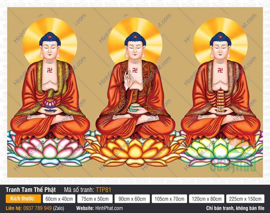 Tam Thế Phật Size Lớn TTP81 Tranh Tam Thế Phật Size Lớn TTP81 phác họa ba Đức Phật mặc áo nâu nền vàng