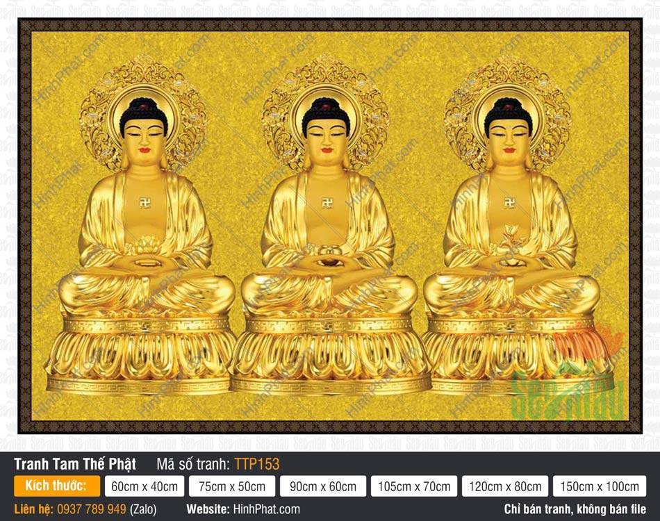 Tam Thế Phật TTP153 Tam Thế Phật TTP153 tỏa sắc hoàng kim trang nghiêm trên nền gấm hoa văn cổ điển