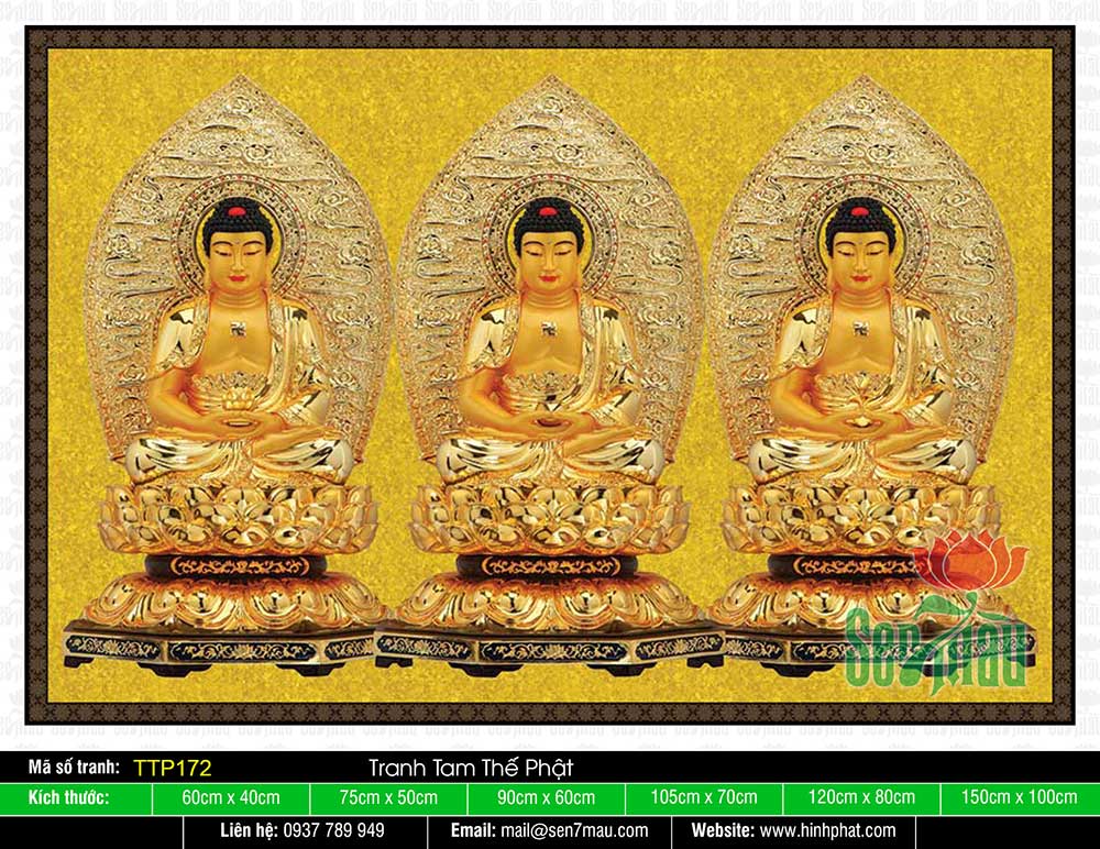 Tam Thế Phật TTP172