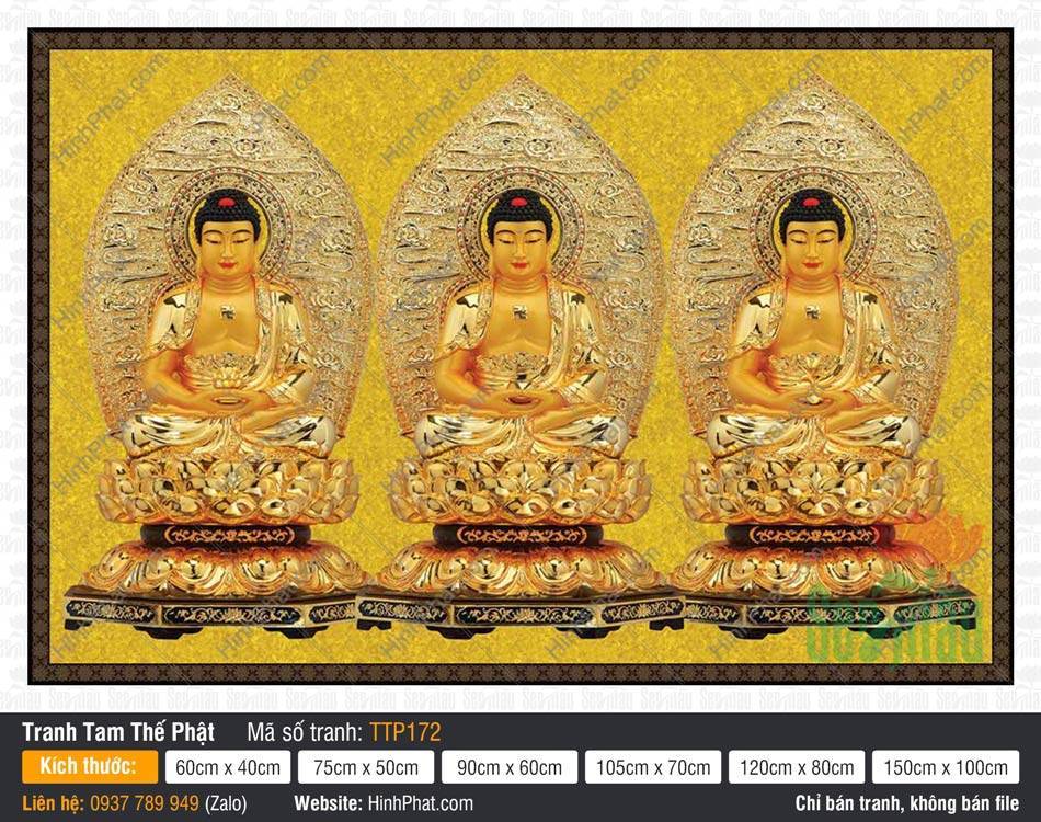Tam Thế Phật TTP172 Tranh Tam Thế Phật TTP172 ngự tòa sen vàng rực rỡ với hào quang lá bồ đề cổ kính