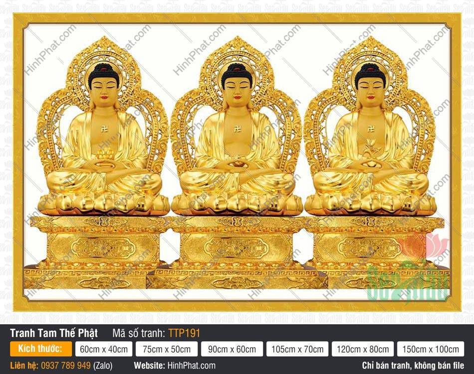 Tam Thế Phật TTP191 Tam Thế Phật TTP191 khắc họa ba Đức Phật ngự tòa sen báu hoàng kim