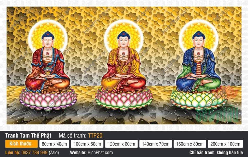 Tam Thế Phật TTP20 Tranh Tam Thế Phật TTP20 khắc họa ba Đức Phật ngự tòa sen nền hoa văn vàng