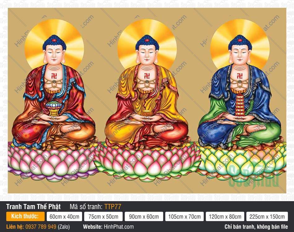 Tam Thế Phật TTP77 Tam Thế Phật TTP77 họa ba vị Phật đắp y phục cuốn đa tầng nền vàng đồng