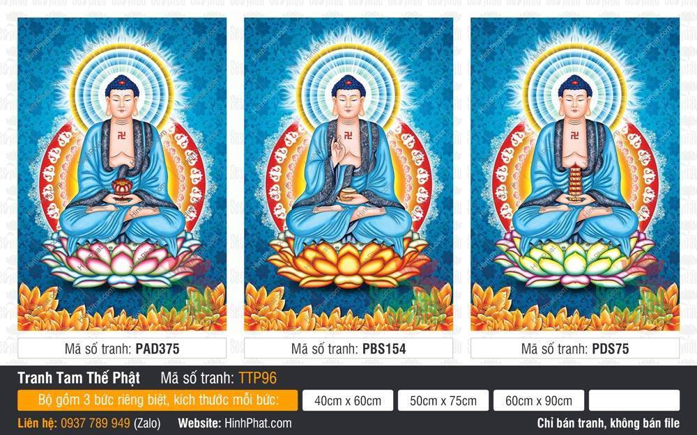 Tam Thế Phật TTP96 Bộ Tranh Tam Thế Phật TTP96 gồm ba bức họa Đức Phật mặc áo xanh dương
