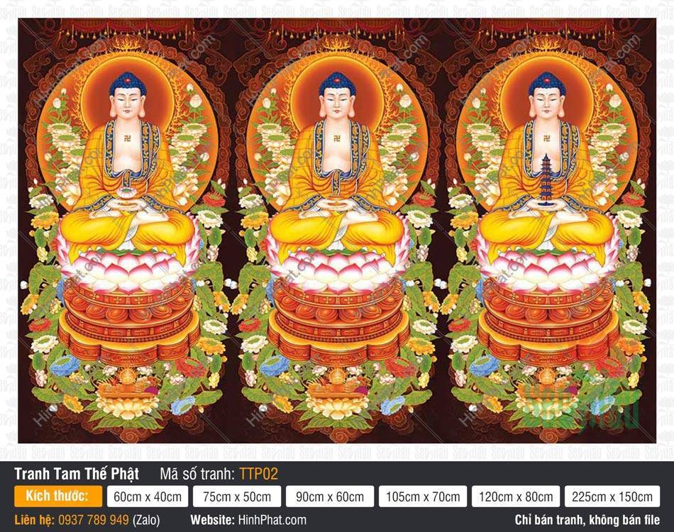 Tam Thế Phật đẹp TTP02 Tranh Tam Thế Phật đẹp TTP02 miêu tả ba Đức Phật tọa thiền trên tòa sen