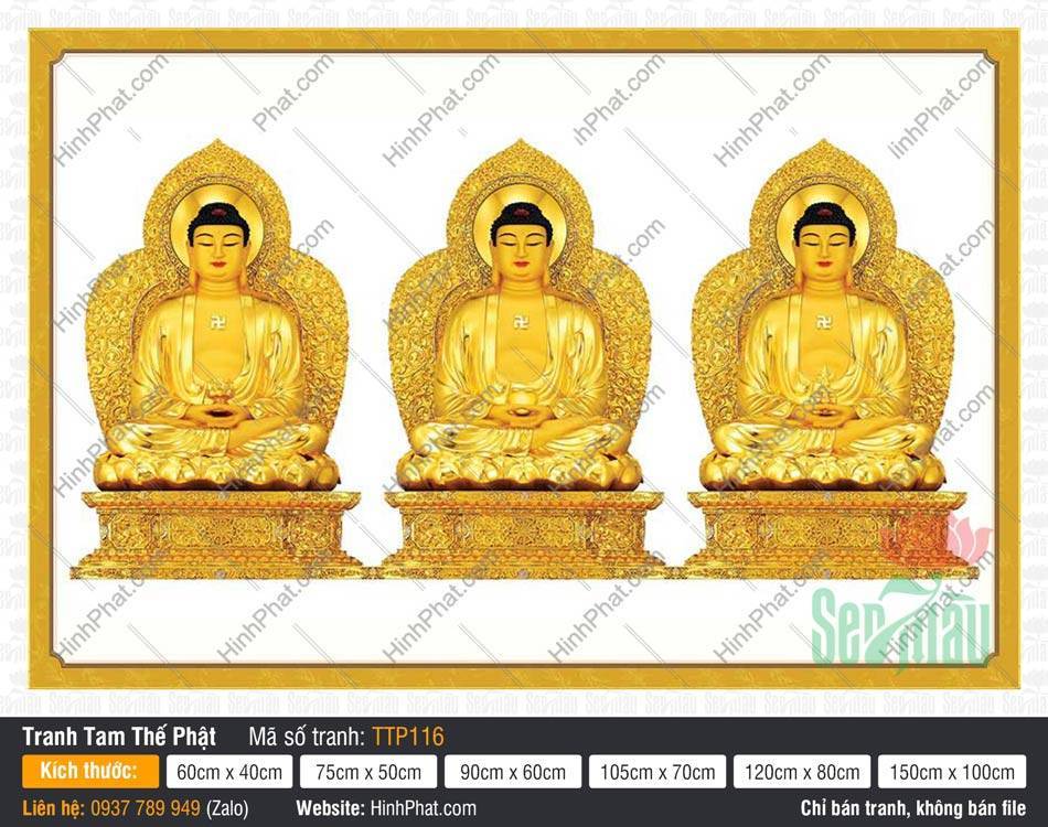 Tam Thế Phật đẹp TTP116 Tam Thế Phật đẹp TTP116 tông màu vàng gold rực rỡ tọa thiền trên nền trắng