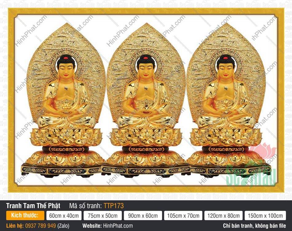 Tam Thế Phật đẹp TTP173 Tam Thế Phật đẹp TTP173 vẽ ba Đức Phật ngự tòa sen trên nền trắng