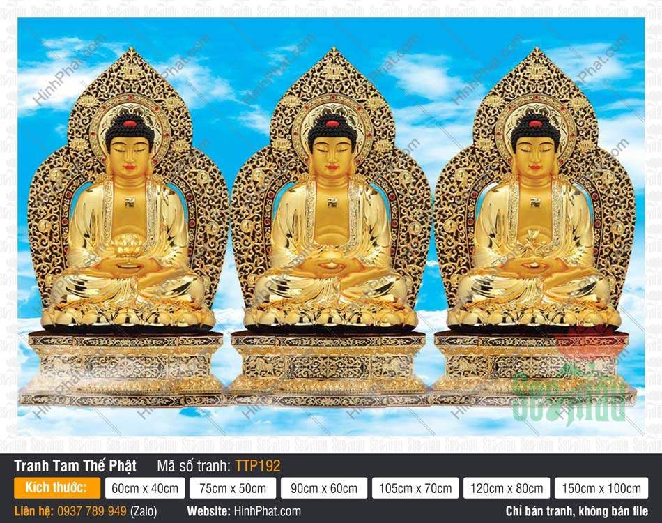 Tam Thế Phật đẹp TTP192 Tam Thế Phật đẹp TTP192 sắc hoàng kim với hào quang lá đề chạm trổ