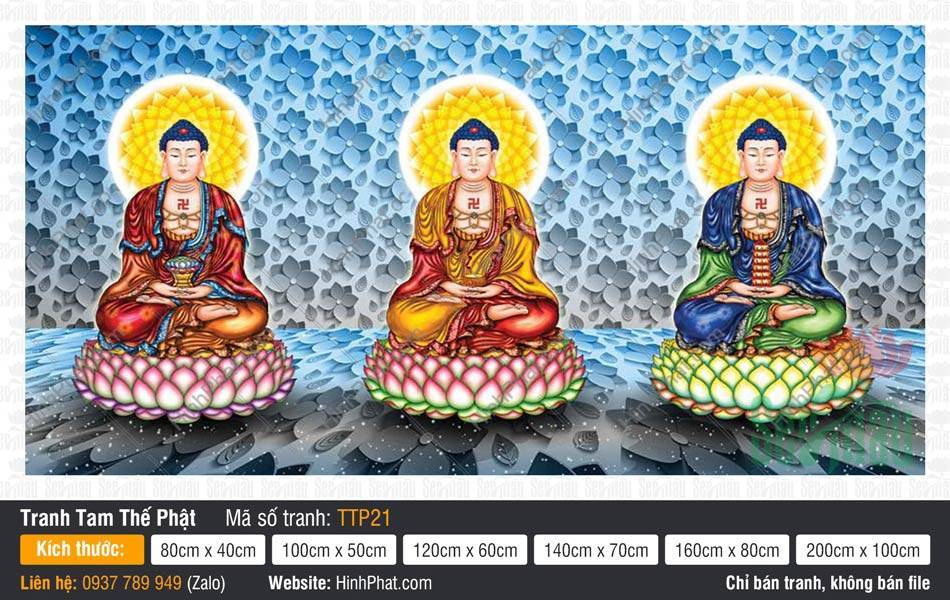 Tam Thế Phật đẹp TTP21 Tranh Tam Thế Phật đẹp TTP21 ba Đức Phật tọa sen trên nền tường hoa xanh lam