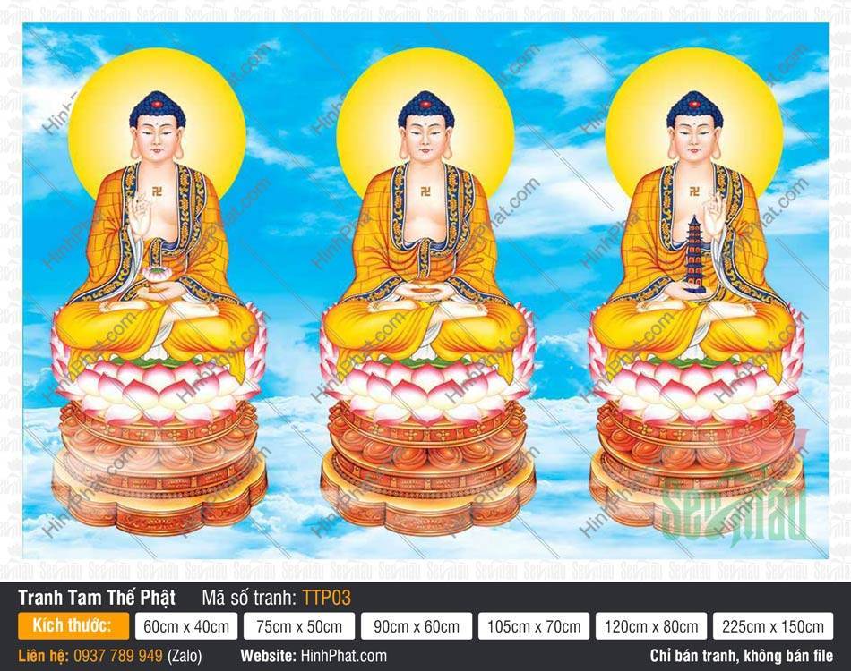 Tam Thế Phật đẹp nhất TTP03 Tranh Tam Thế Phật đẹp nhất TTP03 ba Đức Phật tọa sen hồng nền trời mây