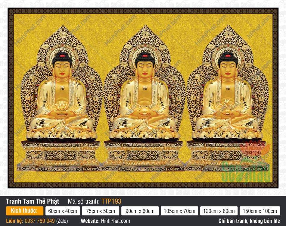 Tam Thế Phật đẹp nhất TTP193 Tam Thế Phật đẹp nhất TTP193 khắc họa bộ ba Đức Phật tỏa hào quang ren vàng lộng lẫy