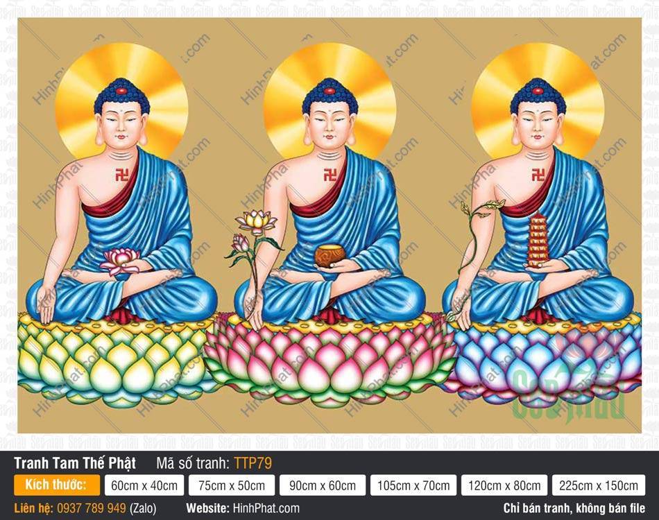 Tam Thế Phật đẹp nhất TTP79 Bức họa Tam Thế Phật đẹp nhất TTP79 ba vị áo xanh dương hào quang tia