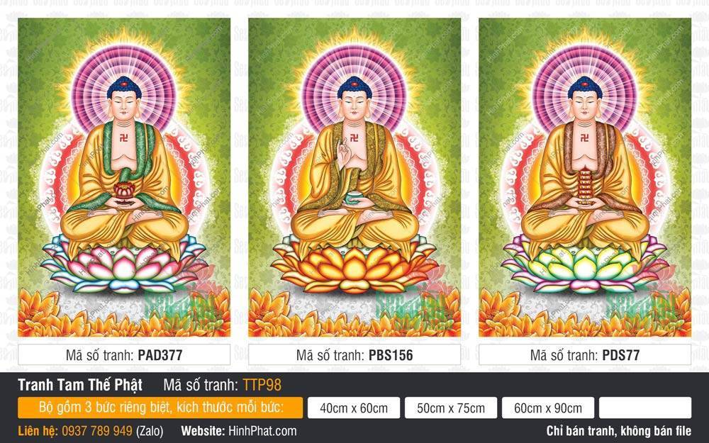 Tam Thế Phật đẹp nhất TTP98 Tam Thế Phật đẹp nhất TTP98 dạng bộ ba bức đứng nền gấm xanh lá thanh tịnh