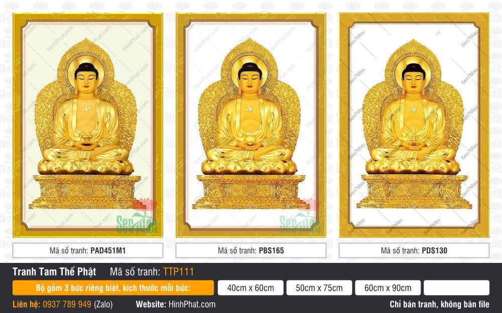Tranh Tam Thế Chư Phật TTP111 Tranh Tam Thế Chư Phật TTP111 tỏa sắc vàng kim tôn nghiêm trên tòa sen báu