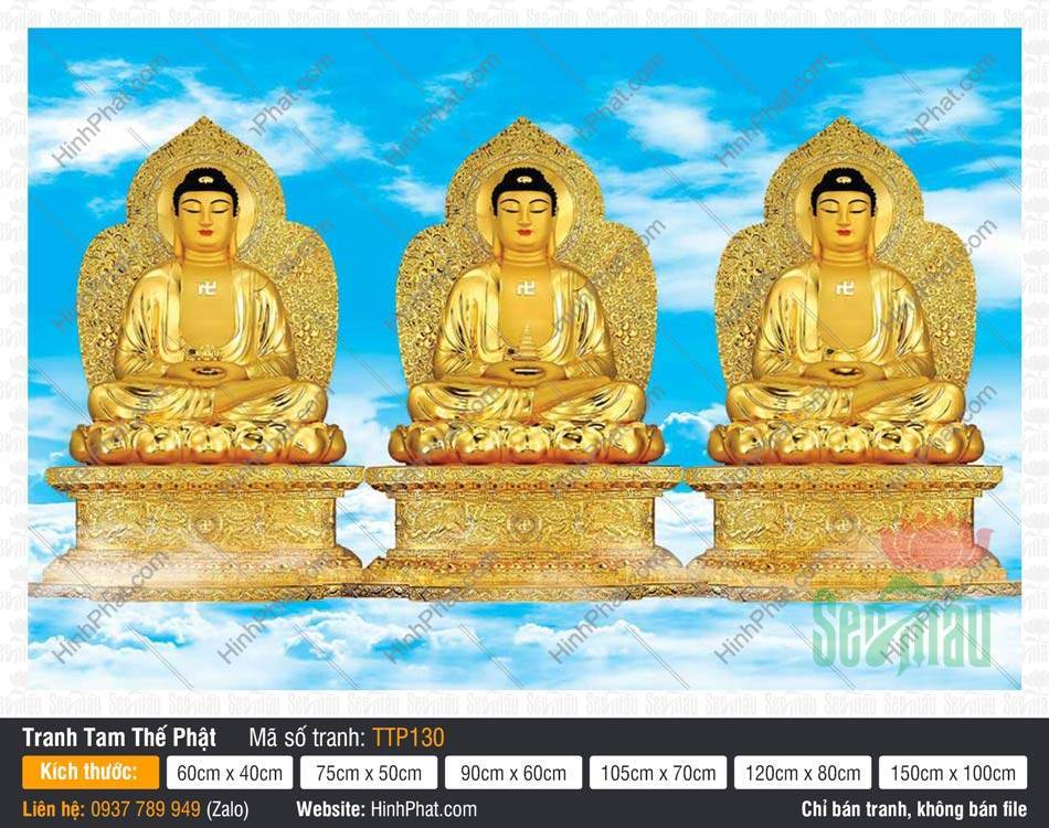 Tranh Tam Thế Chư Phật TTP130 Tranh Tam Thế Chư Phật TTP130 ngự tòa sen vàng trên nền trời xanh mây trắng