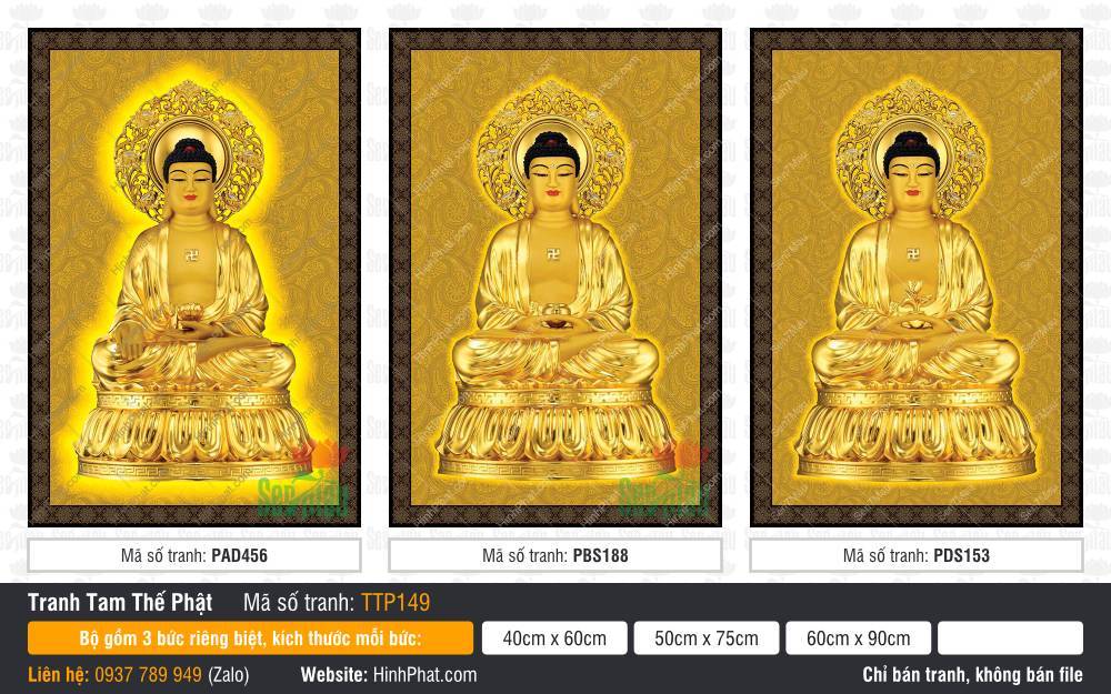 Tranh Tam Thế Chư Phật TTP149 Tranh Tam Thế Chư Phật TTP149 vẽ ba Đức Phật ngự sen vàng tỏa hào quang tròn