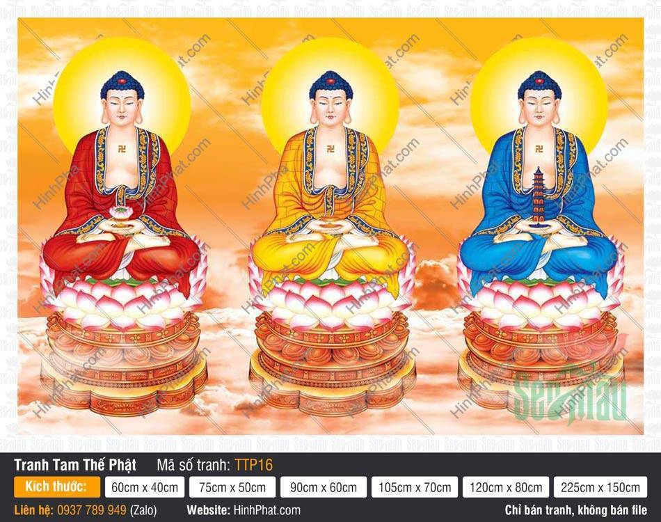 Tranh Tam Thế Chư Phật TTP16, Hình Phật Tam Thế Tranh Tam Thế Chư Phật TTP16 phác họa ba Đức Phật khoác y phục ba màu