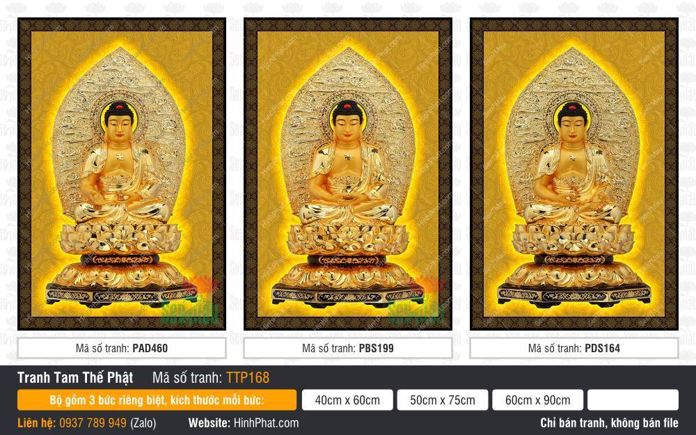 Tranh Tam Thế Chư Phật TTP168 Tranh Tam Thế Chư Phật TTP168 nổi bật sắc hoàng kim cùng vòm hào quang lá đề