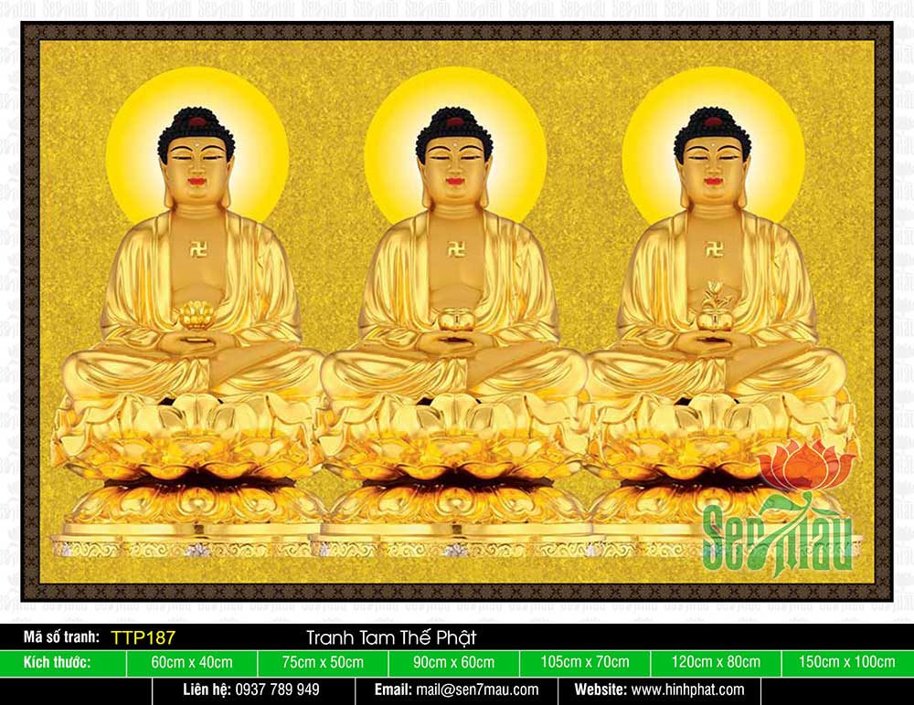 Tranh Tam Thế Chư Phật TTP187