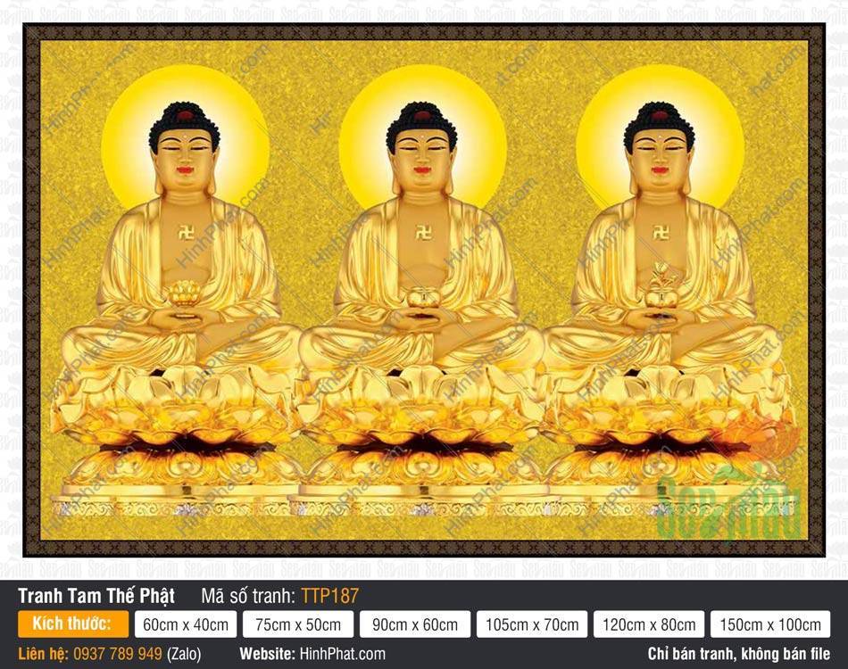 Tranh Tam Thế Chư Phật TTP187 Tranh Tam Thế Chư Phật TTP187 sắc vàng ngự tòa sen tỏa hào quang tròn thanh tịnh