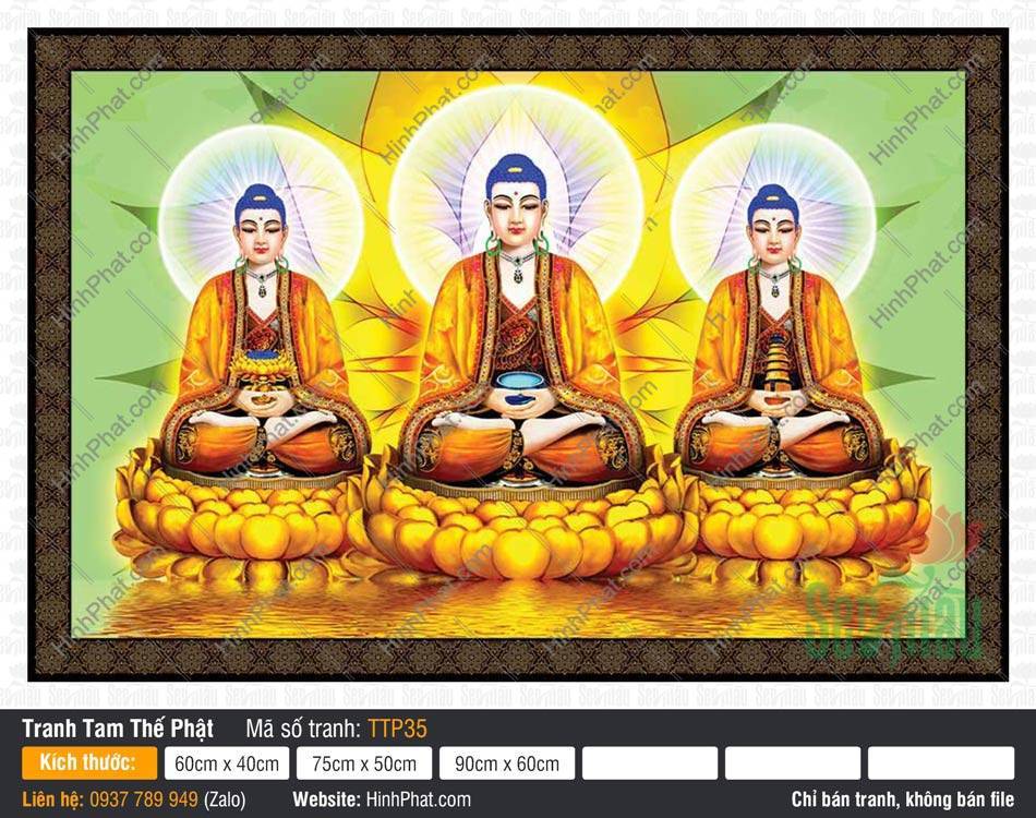 Tranh Tam Thế Chư Phật TTP35 Tranh Tam Thế Chư Phật TTP35 khắc họa ba Đức Phật tỏa hào quang tròn