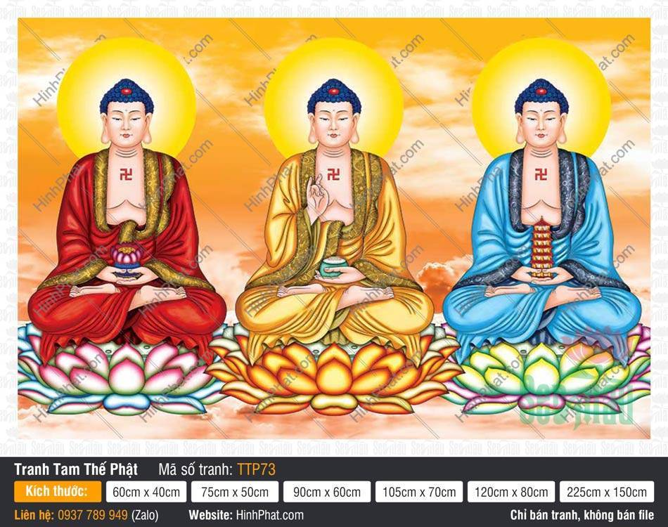 Tranh Tam Thế Chư Phật TTP73 Tranh Tam Thế Chư Phật TTP73 ba vị áo đỏ vàng xanh tọa thiền nền mây