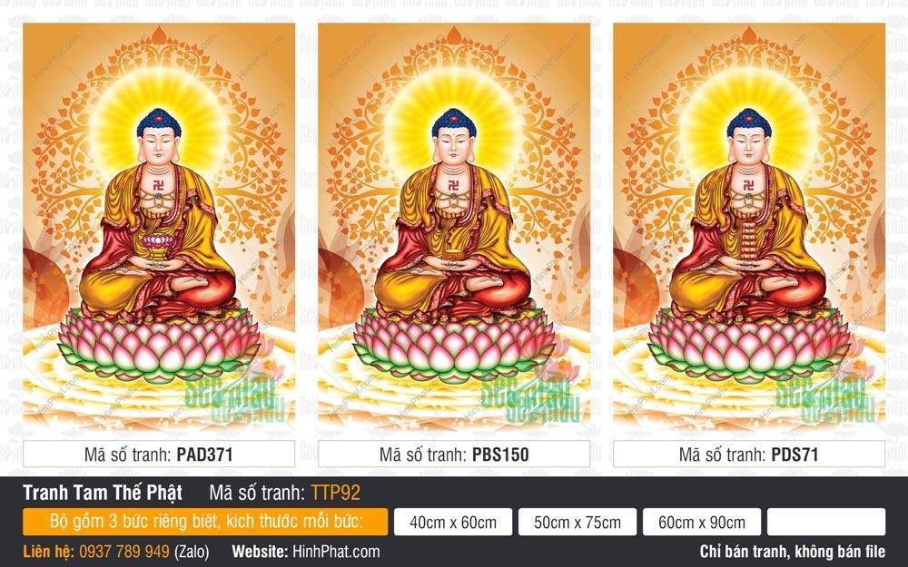 Tranh Tam Thế Chư Phật TTP92 Tranh Tam Thế Chư Phật TTP92 bộ ba bức đứng nền họa tiết lá bồ đề