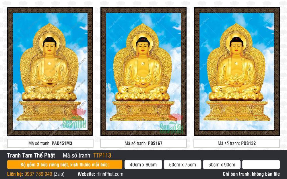 Tranh Tam Thế Nhất Thiết Chư Phật TTP113 Tranh Tam Thế Nhất Thiết Chư Phật TTP113 sắc vàng kim ngự tòa sen nền trời mây