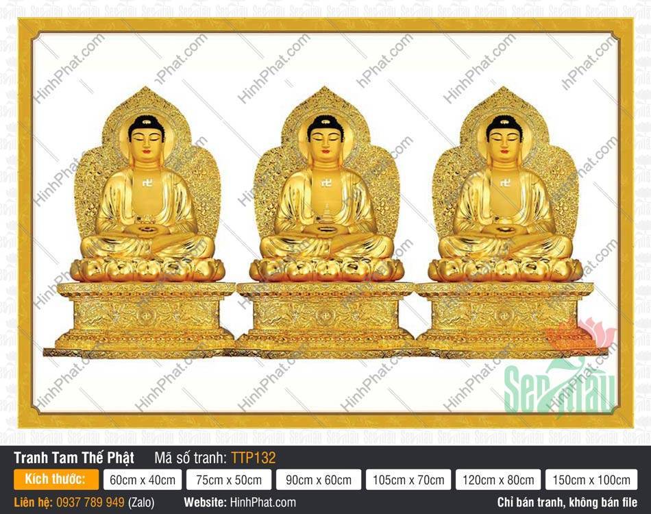 Tranh Tam Thế Nhất Thiết Chư Phật TTP132 Tranh Tam Thế Nhất Thiết Chư Phật TTP132 với sắc kim toàn thân nổi bật trên nền trắng