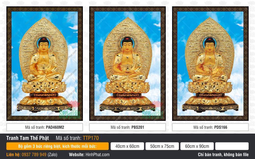 Tranh Tam Thế Nhất Thiết Chư Phật TTP170 Tranh Tam Thế Nhất Thiết Chư Phật TTP170 ngự sen vàng giữa nền mây trời