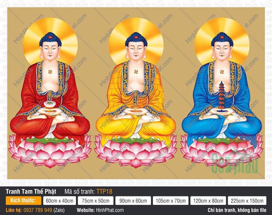 Tranh Tam Thế Nhất Thiết Chư Phật TTP18 Tranh Tam Thế Nhất Thiết Chư Phật TTP18 ba Đức Phật mặc y ba màu nền phông vàng