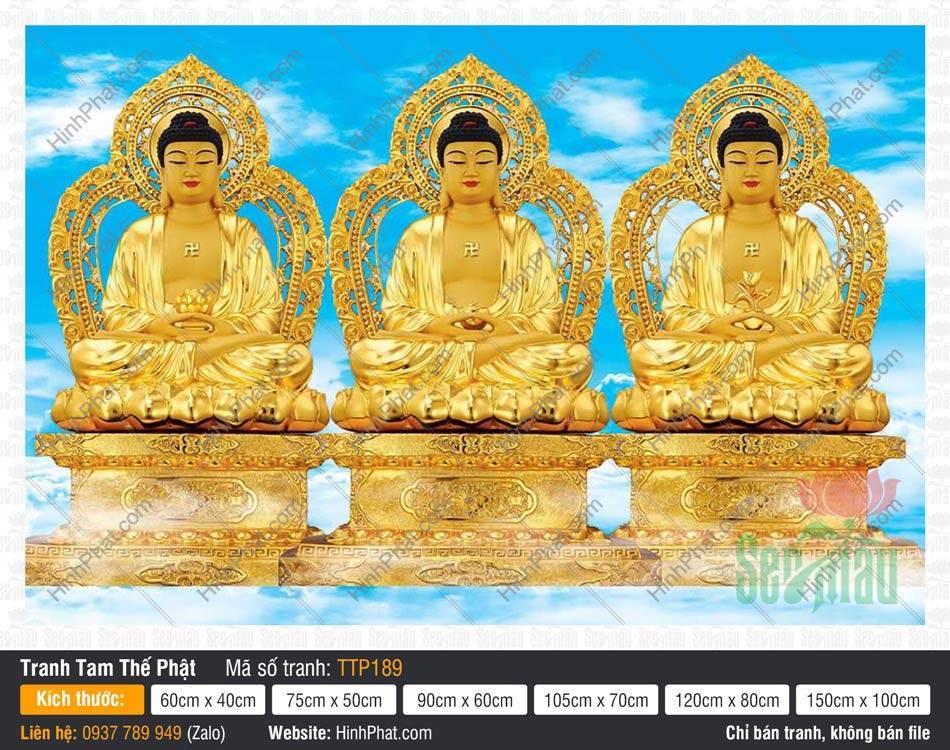 Tranh Tam Thế Nhất Thiết Chư Phật TTP189 Tranh Tam Thế Nhất Thiết Chư Phật TTP189 sắc hoàng kim giữa nền trời mây