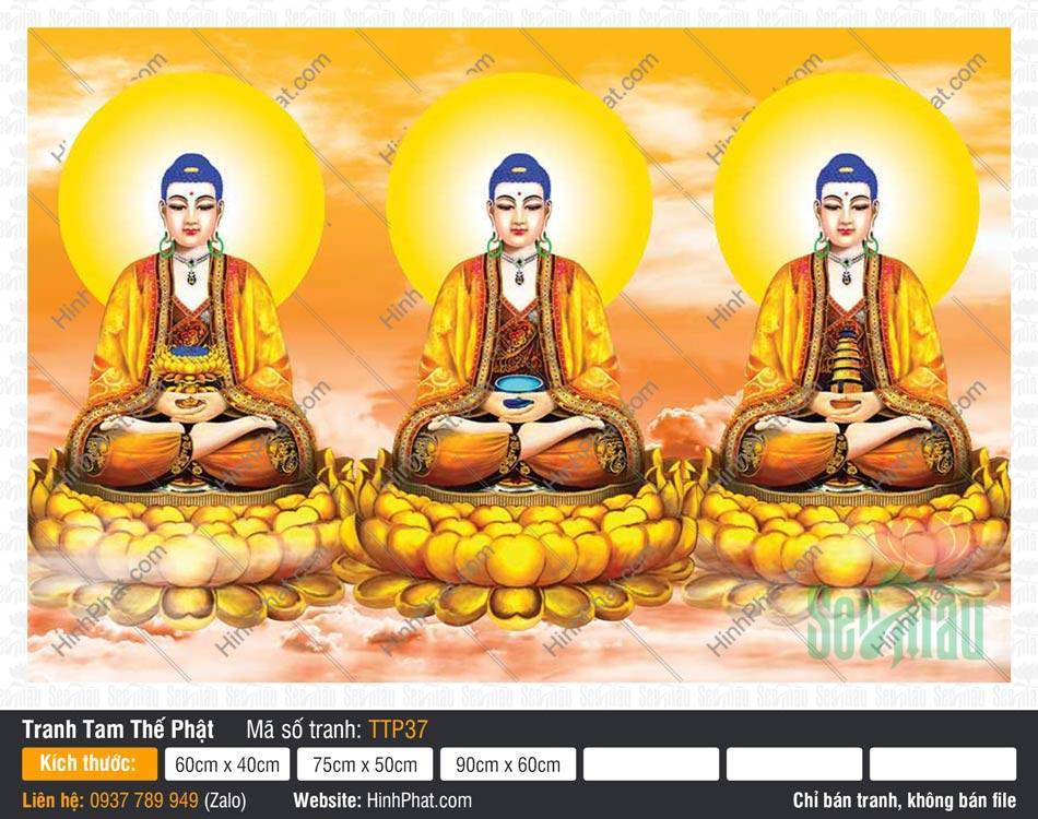 Tranh Tam Thế Nhất Thiết Chư Phật TTP37 Tranh Tam Thế Nhất Thiết Chư Phật TTP37 khắc họa ba Đức Phật ngự sen vàng