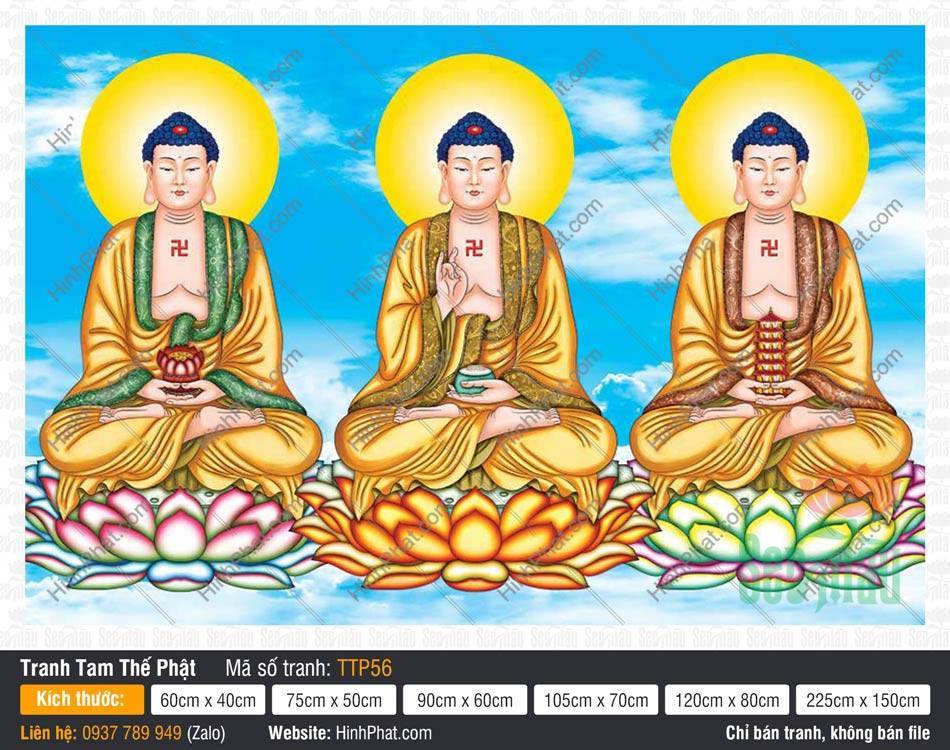 Tranh Tam Thế Nhất Thiết Chư Phật TTP56 Tranh Tam Thế Nhất Thiết Chư Phật TTP56 khắc họa ba Đức Phật mặc y vàng ngự nền trời